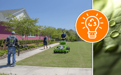 The benefits of no pollution lawn care