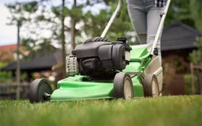 Traditional vs. electric lawn care: What’s the environmental impact?
